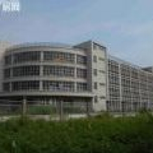 南沙，独院，2栋，标准厂房出售