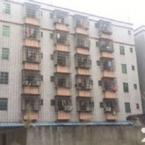 笋,笋,笋,超值回报,南沙区最成熟工业村自建房出让