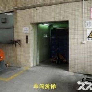 首层6米、园林式，番禺钟村33000平方厂房出售