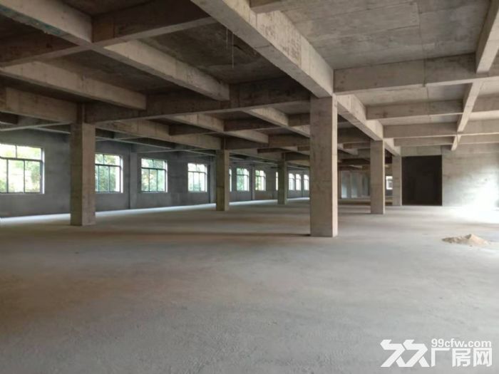 q全新独院一手房东厂房租金实惠！证齐使用率高，可分租-图7