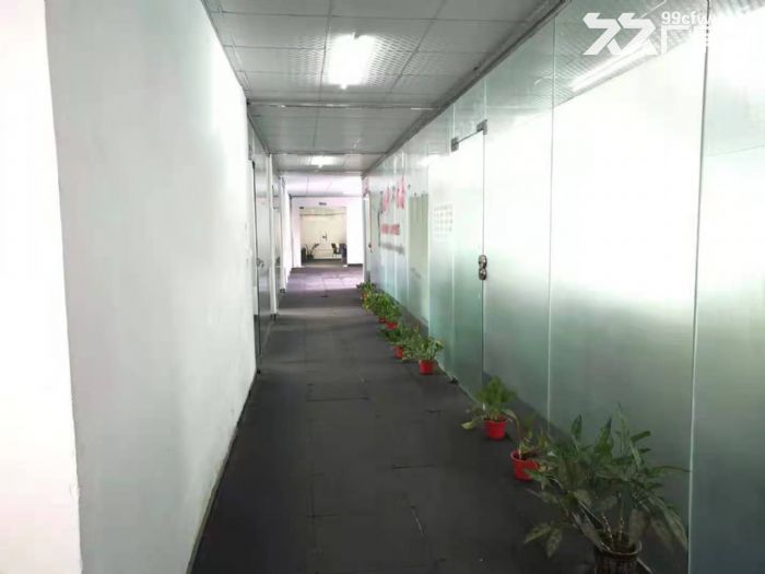 g石基大路边标准二楼1100方出租，租金便宜，现成办公室-图4